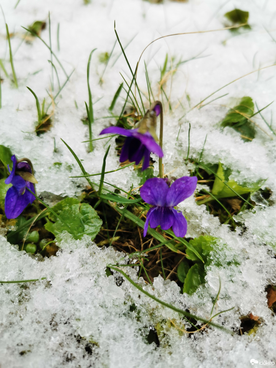 Budapest XII.ker - Zugliget
