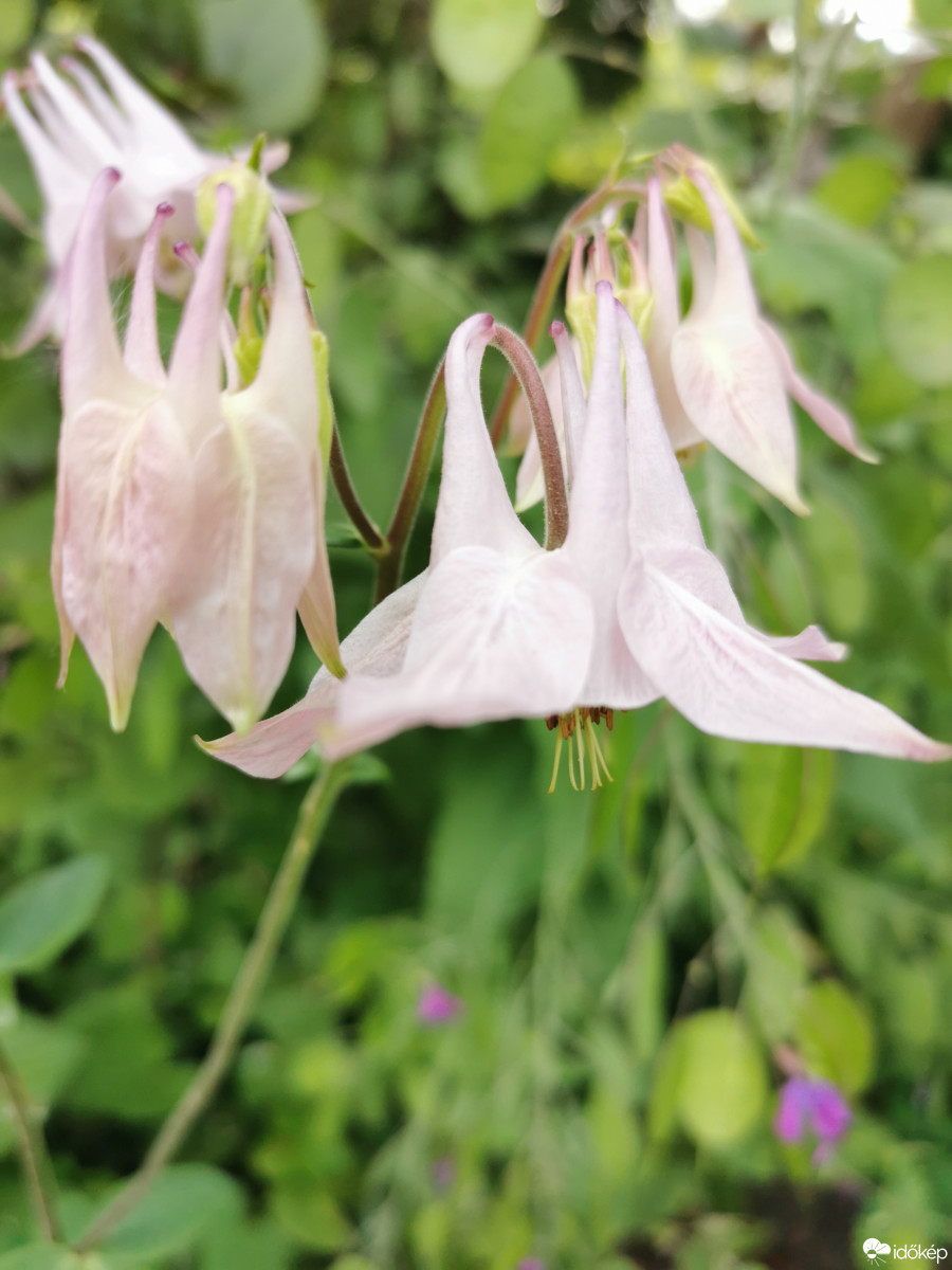 Budapest XII.ker - Zugliget