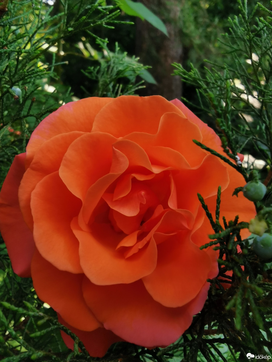 Budapest XII.ker - Zugliget