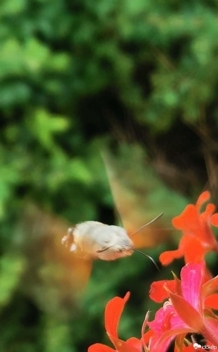 Budapest XII.ker - Zugliget