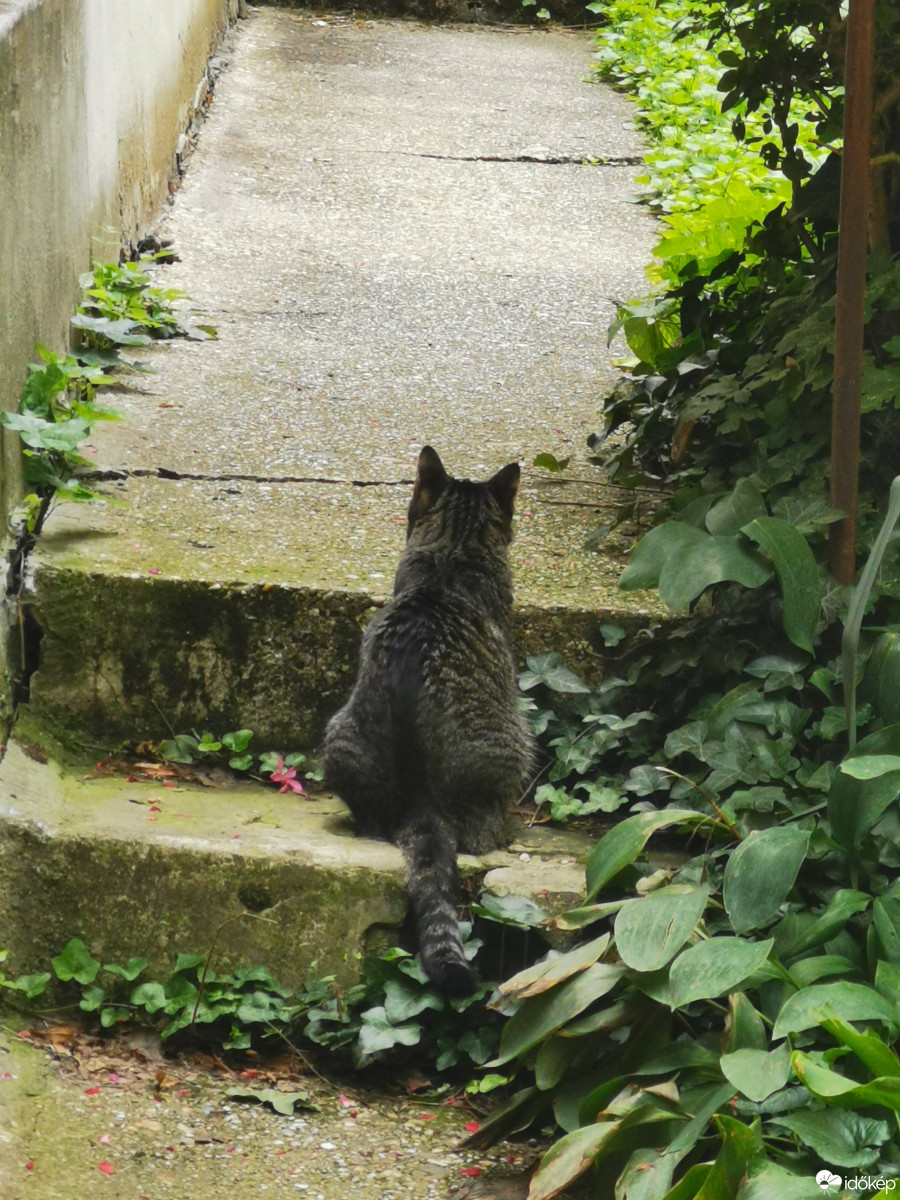 Budapest XII.ker - Zugliget