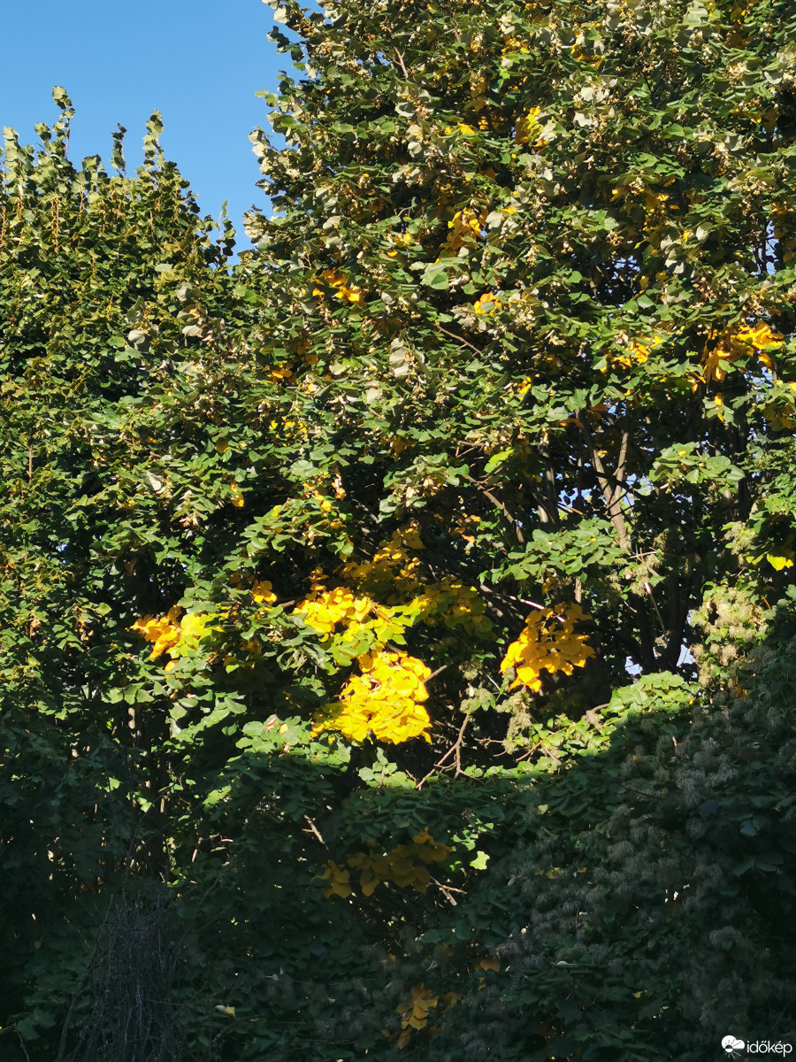 Budapest XII.ker - Zugliget