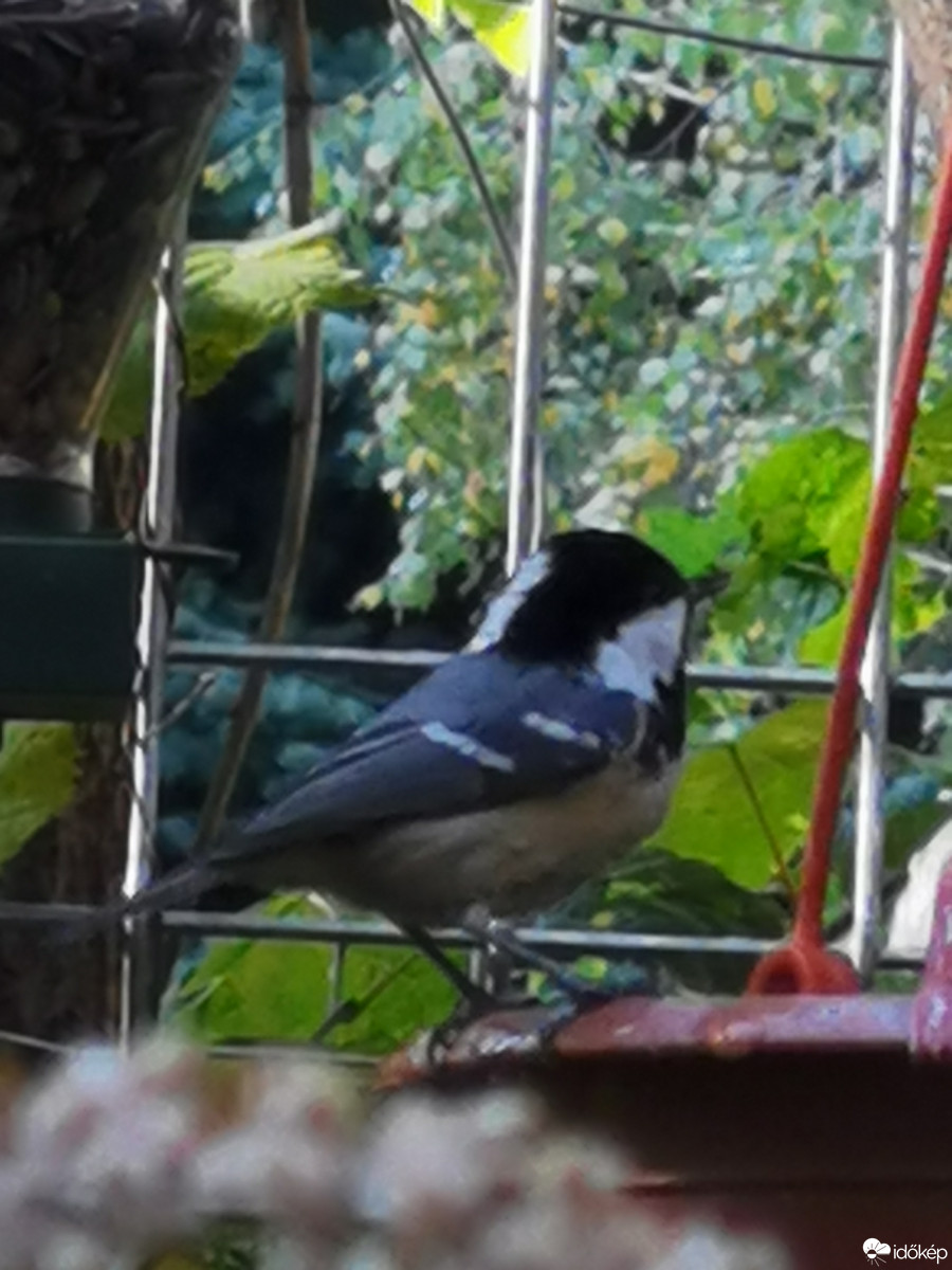 Budapest XII.ker - Zugliget