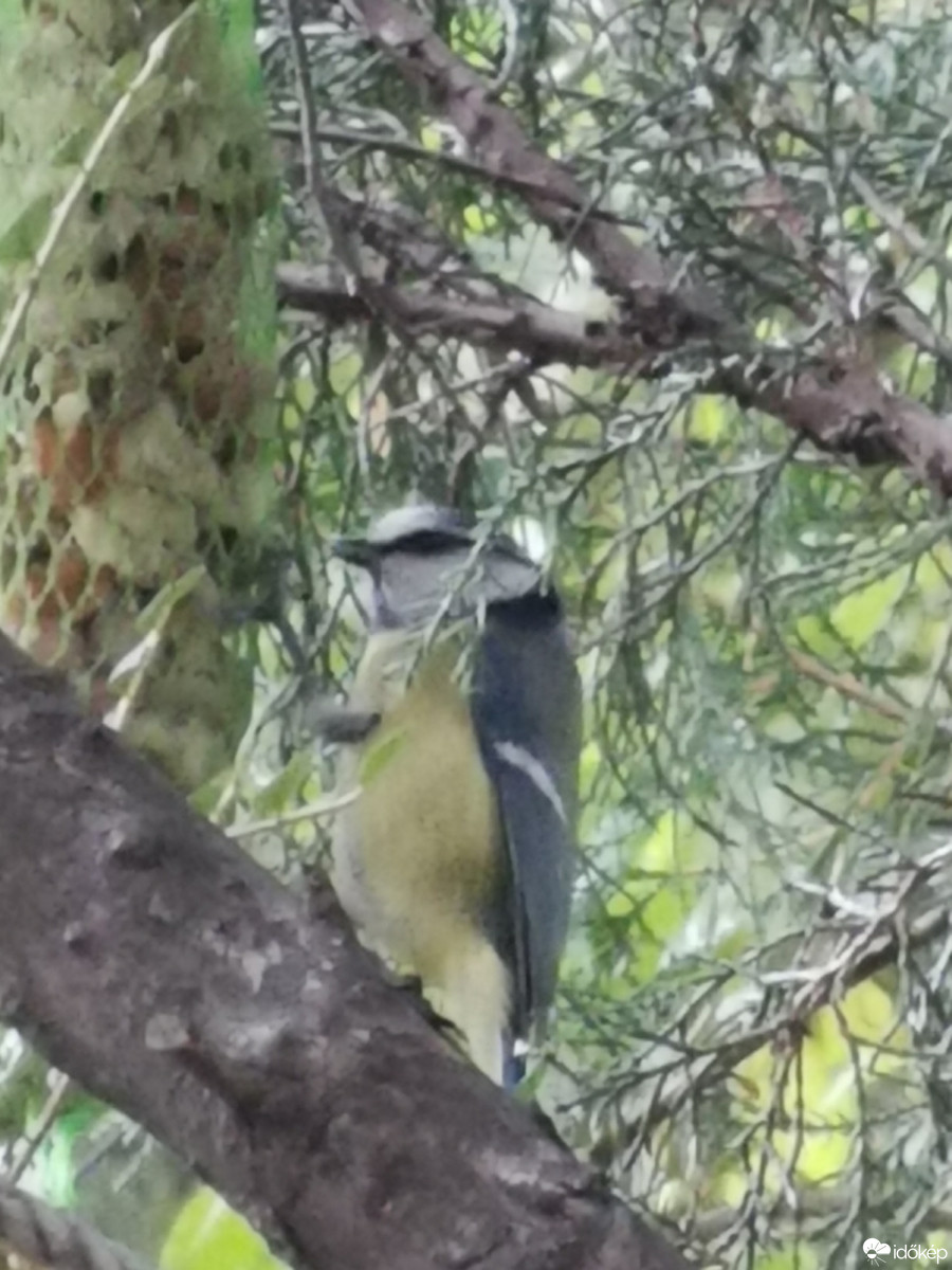 Budapest XII.ker - Zugliget