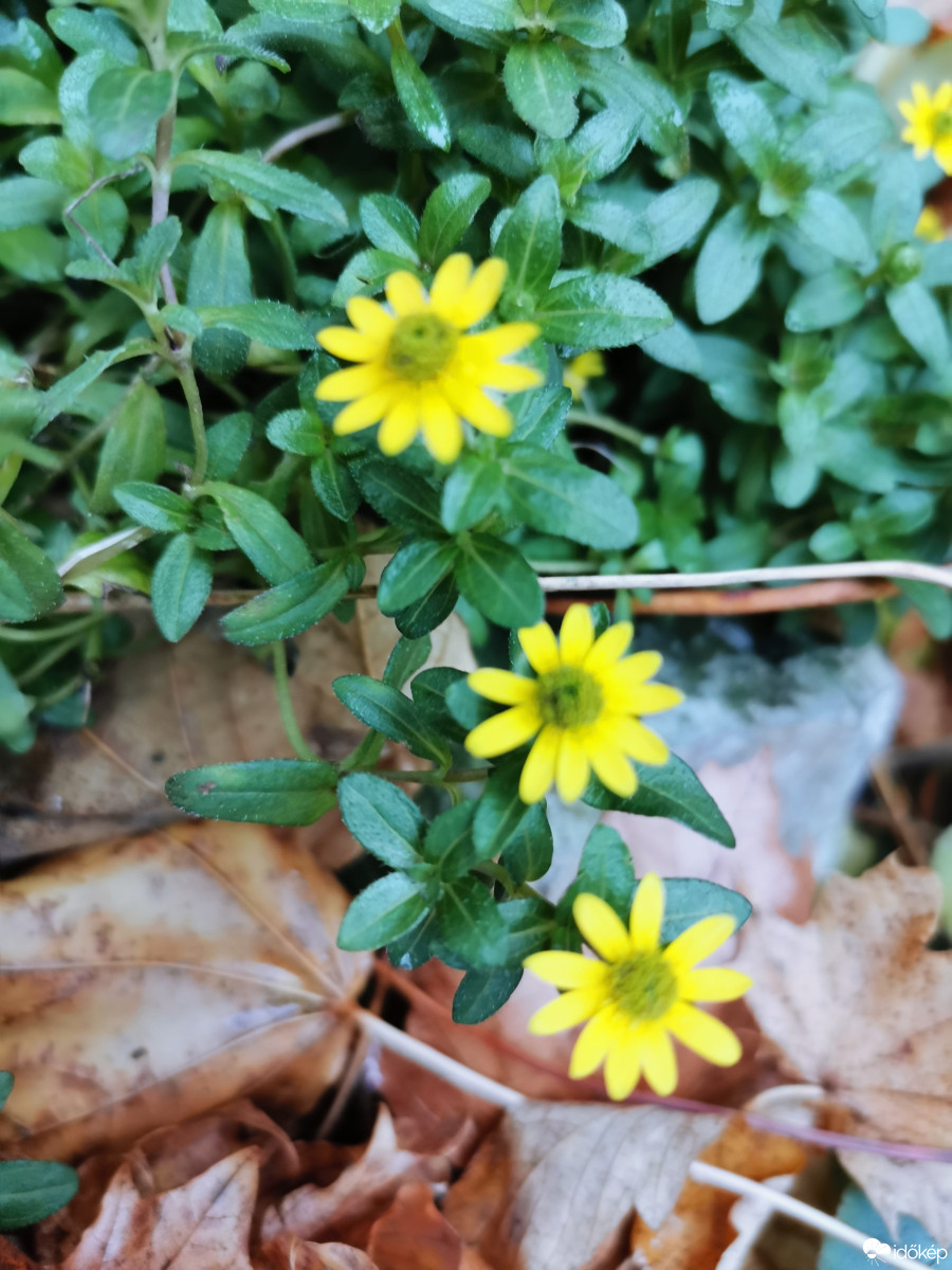 Budapest XII.ker - Zugliget