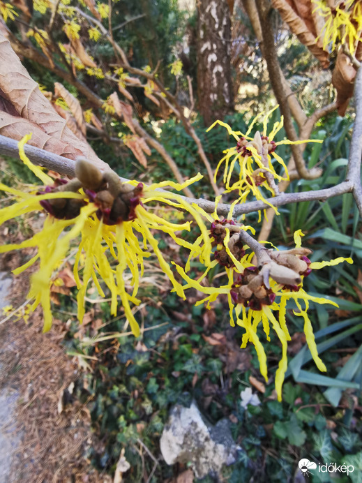 Budapest XII.ker - Zugliget