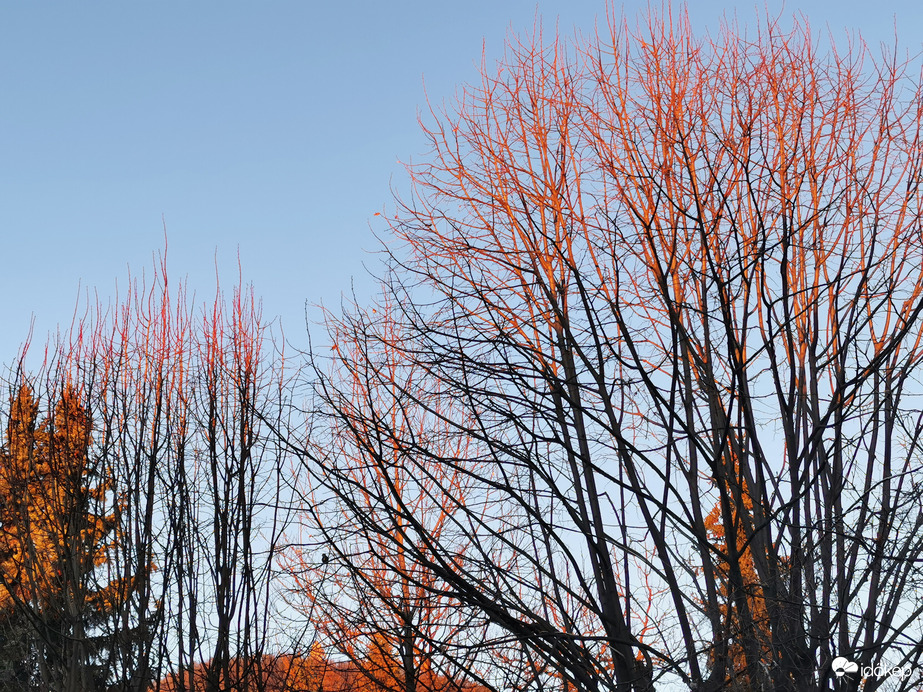 Budapest XII.ker - Zugliget