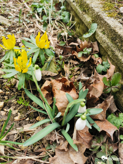 Budapest XII.ker - Zugliget