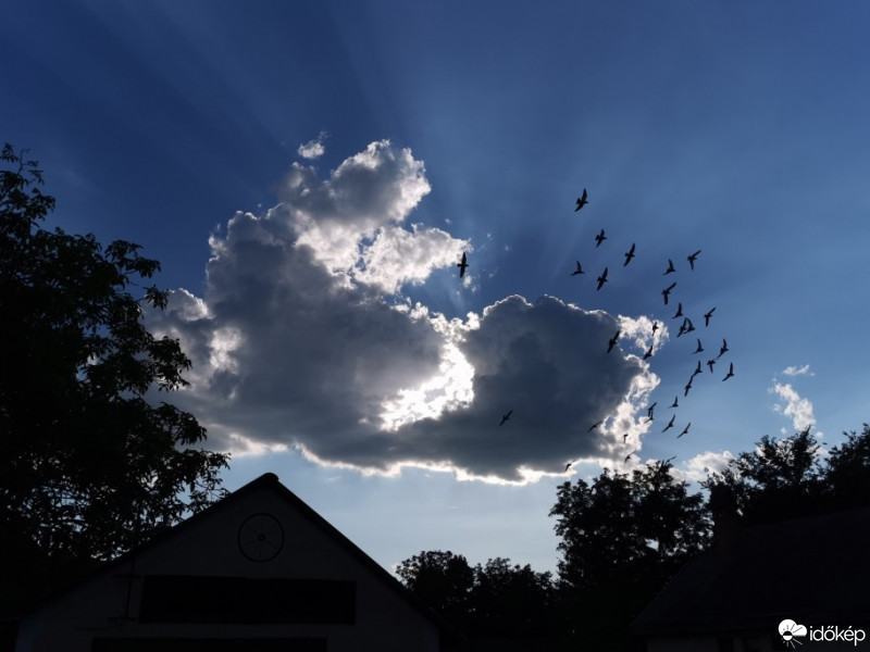 Észlelési fényképek