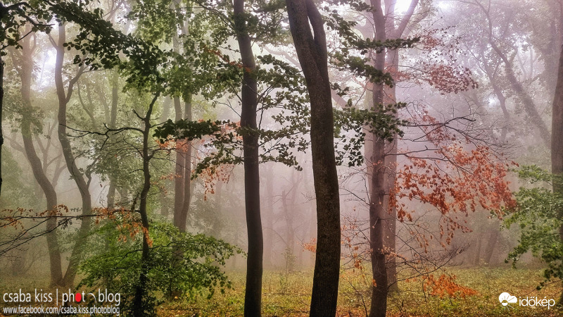Őszi hangulat a Mecseken