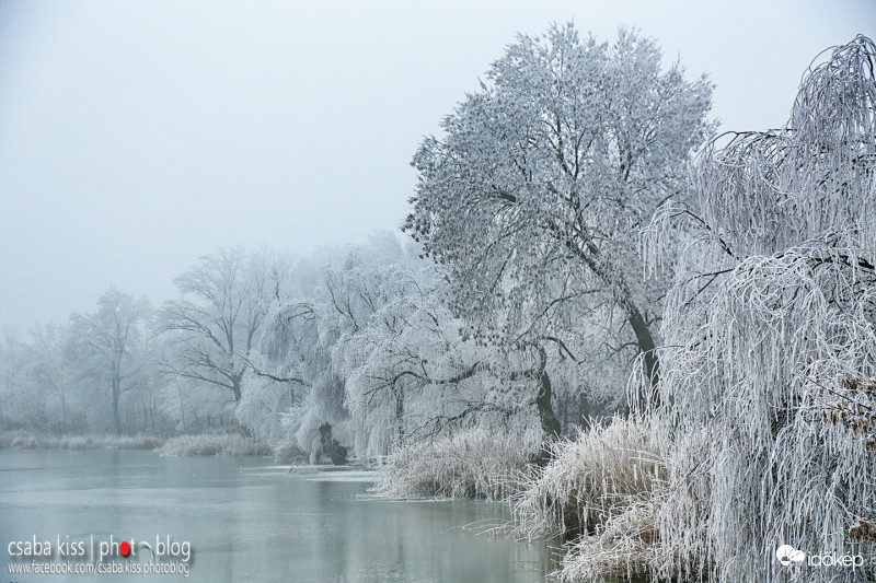 A zúzmara birodalma