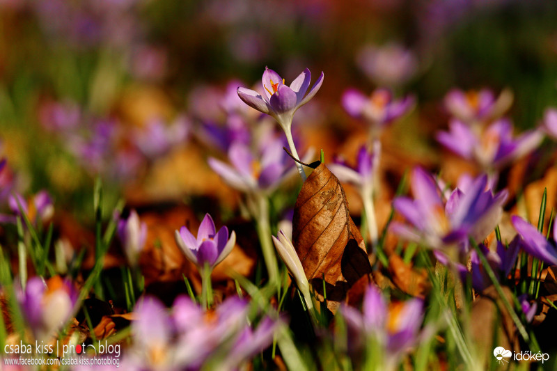 Reggelente elkél még a nagykabát. :)