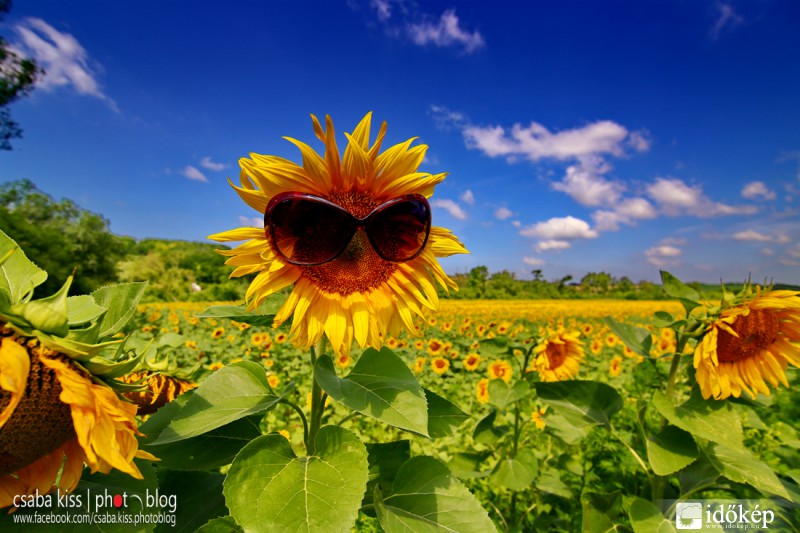 Ma visszatér a nyár! :)