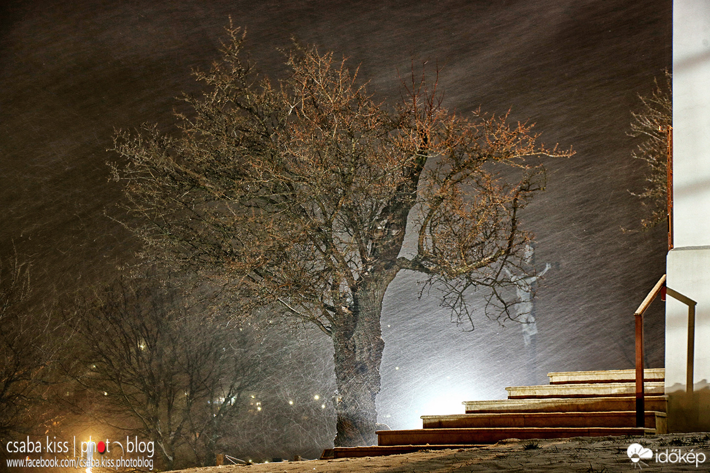 Mandulafa hóesésben