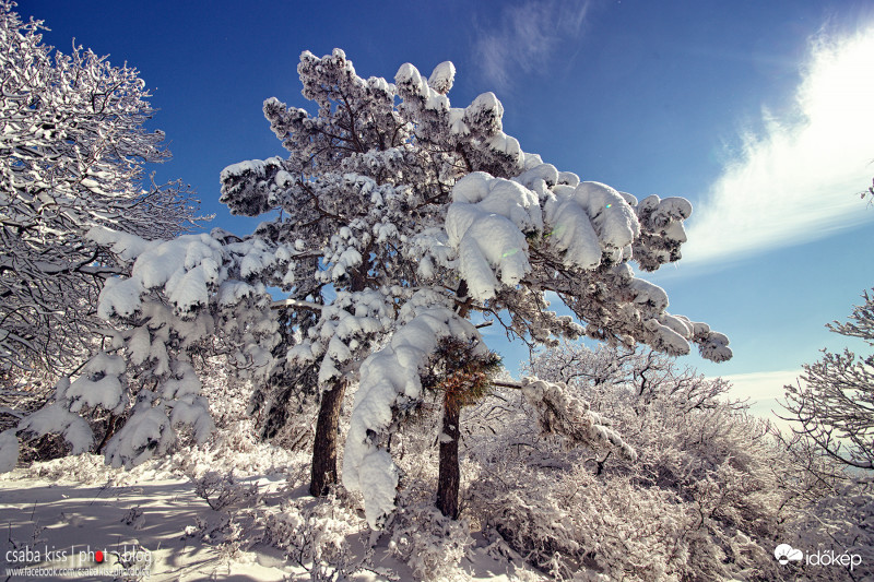 Pécs - Mecsek - 2018.02.25
