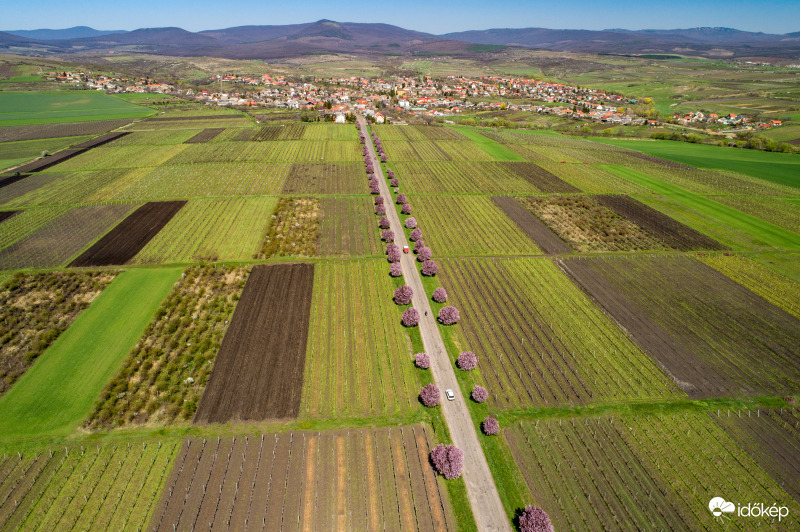 Gyöngyöstarján madártávlatból