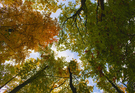 Különböző szemszögből az őszi Mátra