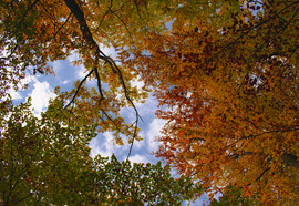 Különböző szemszögből az őszi Mátra