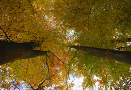 Különböző szemszögből az őszi Mátra