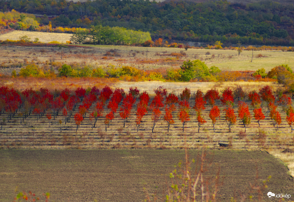Amikor a természet mesél