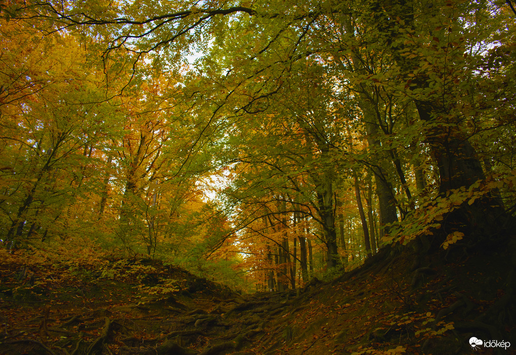 Különböző szemszögből az őszi Mátra