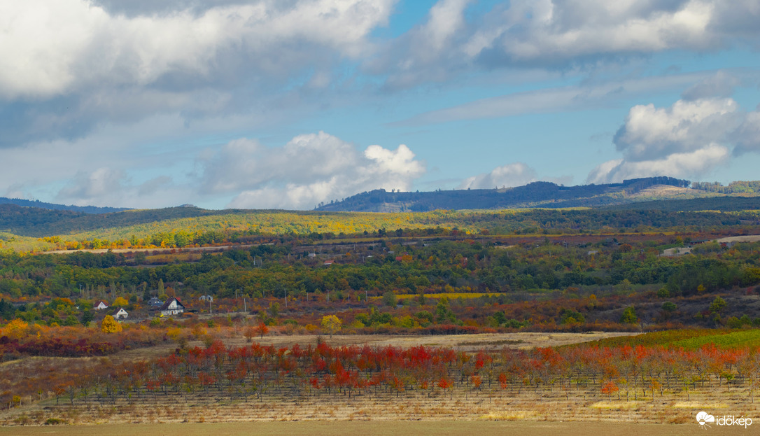 Amikor a természet mesél