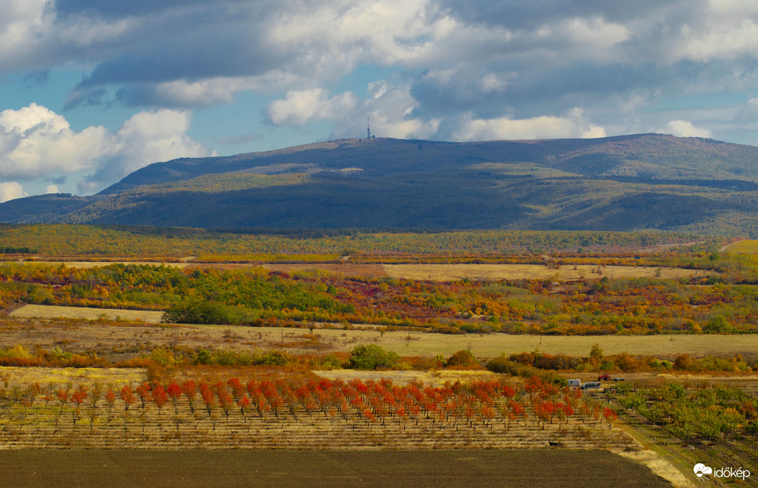 Amikor a természet mesél