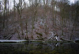 Téli csend Szilvásváradon