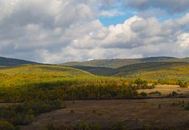 Amikor a természet mesél