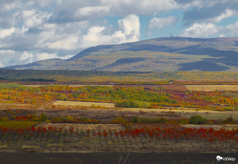 Amikor a természet mesél