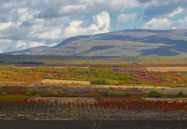 Amikor a természet mesél