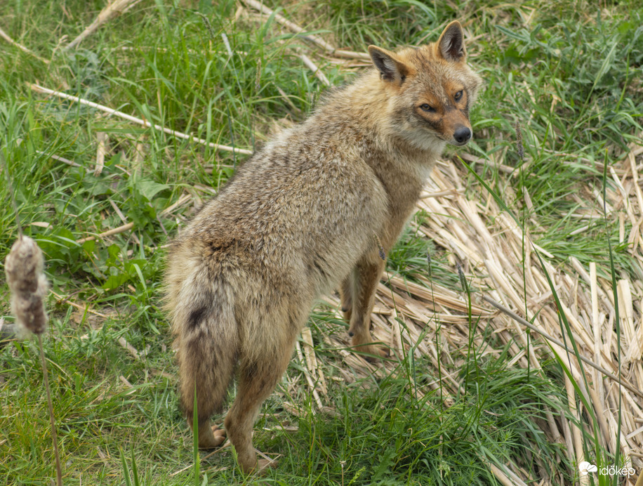 Hortobágy Nemzeti Vadaspark