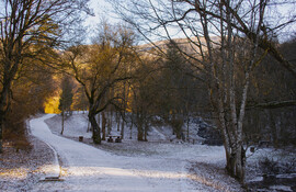 Téli csend Szilvásváradon