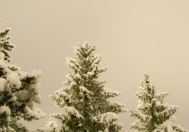 Havas reggel a Mátra lábánál