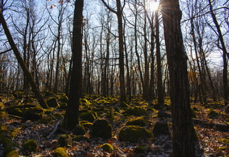 Napsütéses Eremény-tető