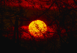 Napfelkelte varázsa