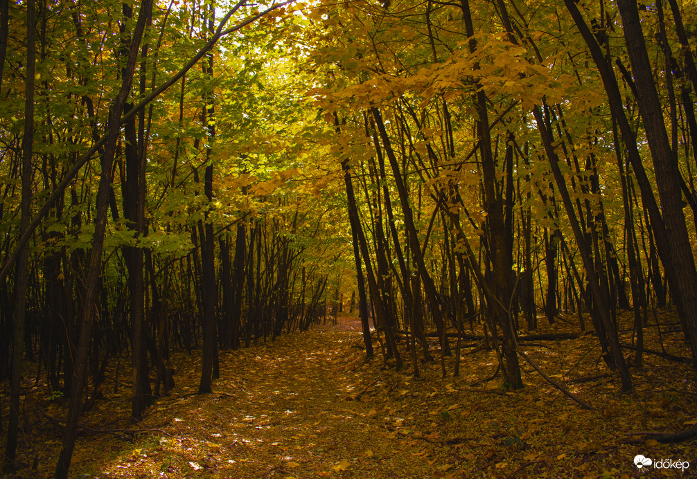 Különböző szemszögből az őszi Mátra
