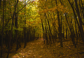 Különböző szemszögből az őszi Mátra