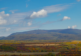 Amikor a természet mesél
