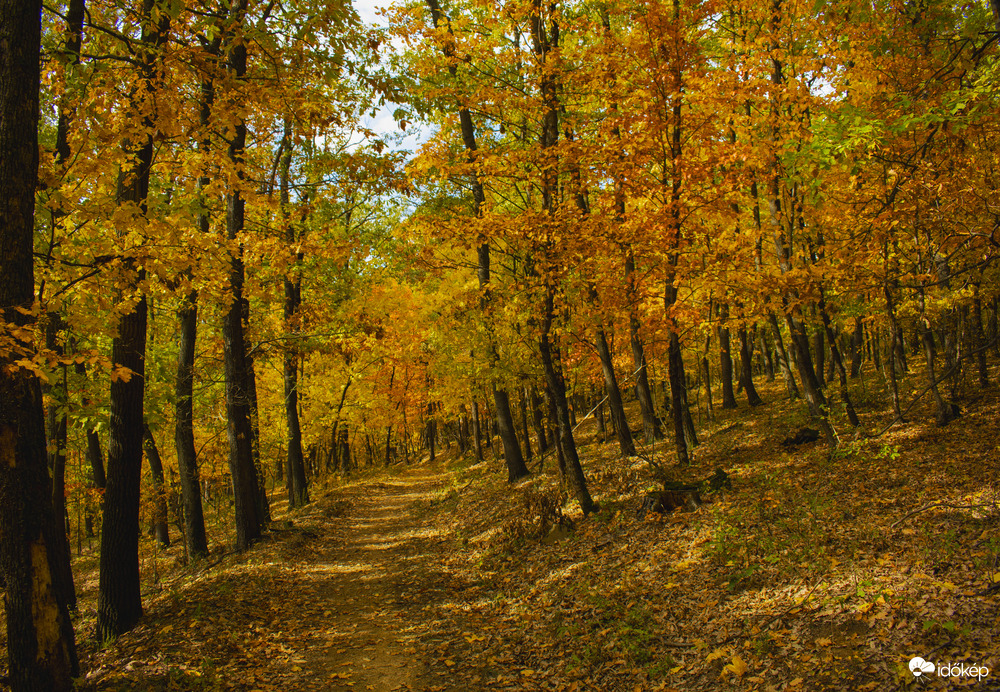Különböző szemszögből az őszi Mátra
