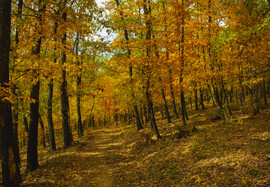 Különböző szemszögből az őszi Mátra