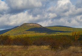 Amikor a természet mesél