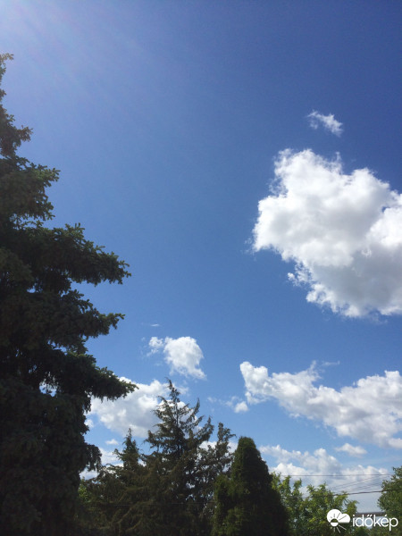 Észlelési fényképek