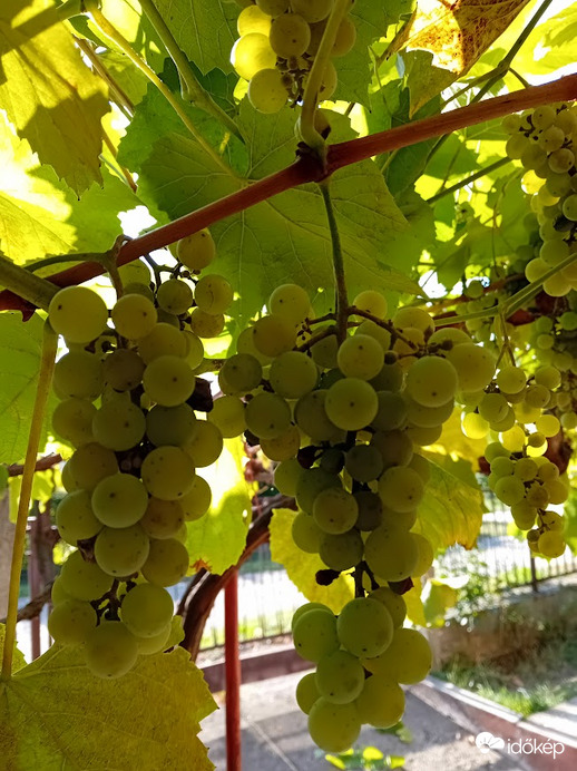 Egyétek ,vegyétek  :)