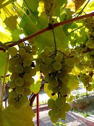 Egyétek ,vegyétek  :)