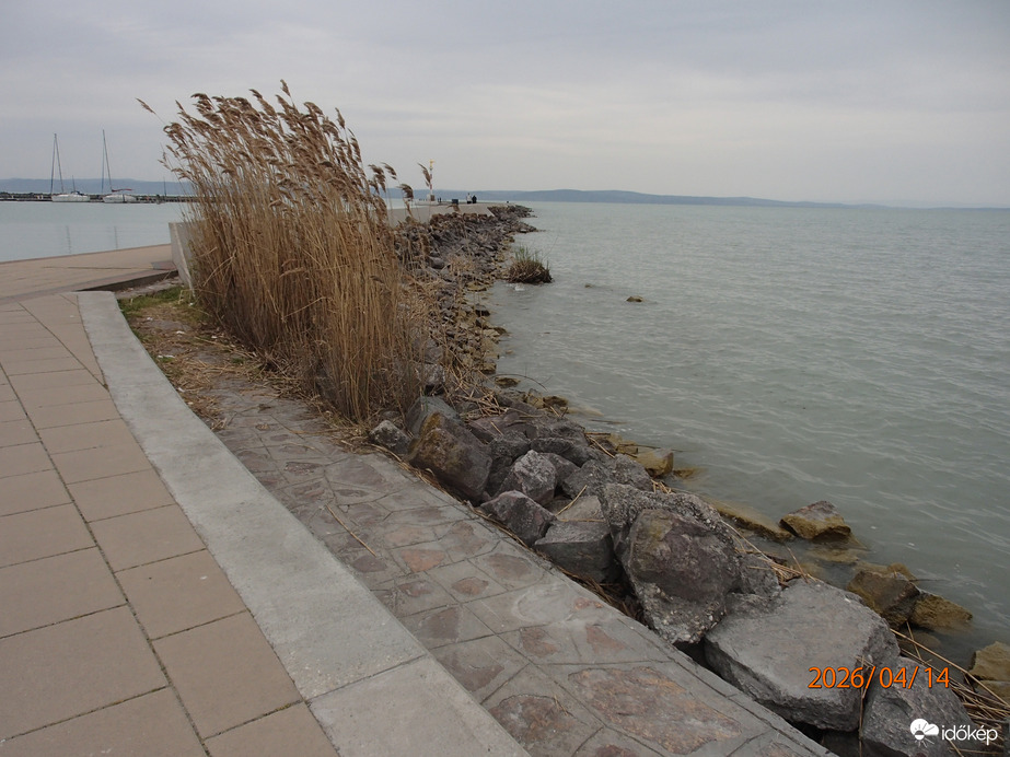 Balaton