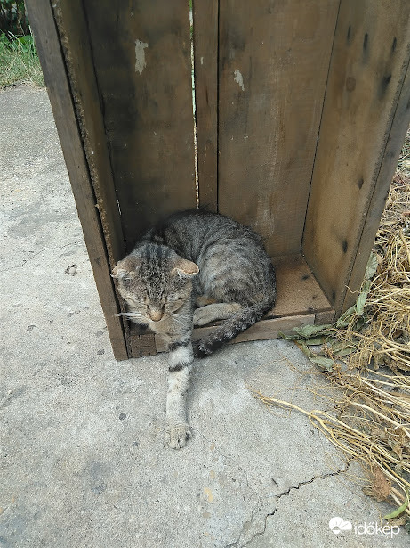 Ez az én ládám,már úgy sincs benne alma  :)