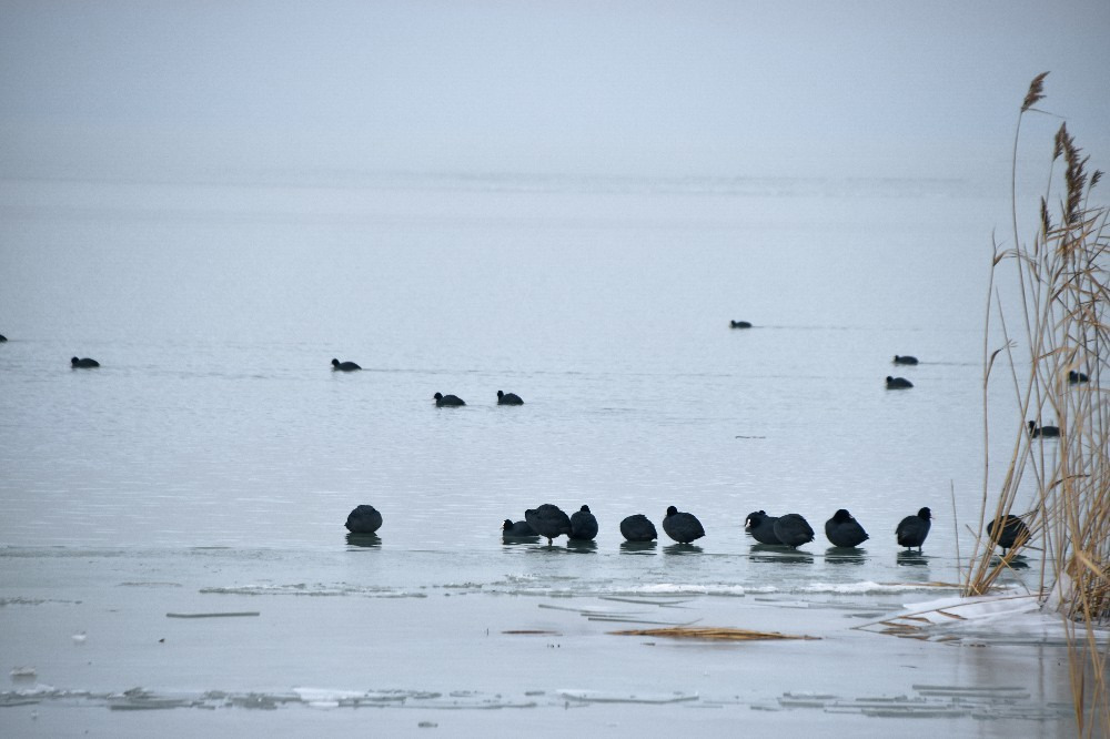 Balatonszemes