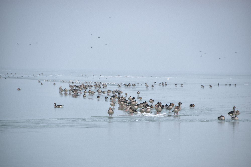 Balatonszemes