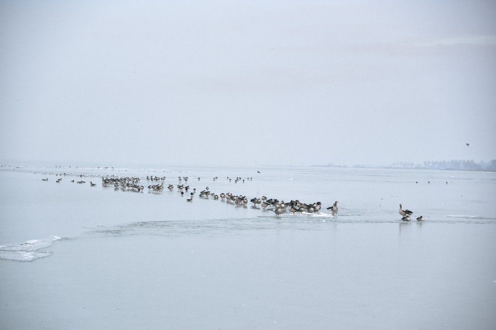 Balatonszemes